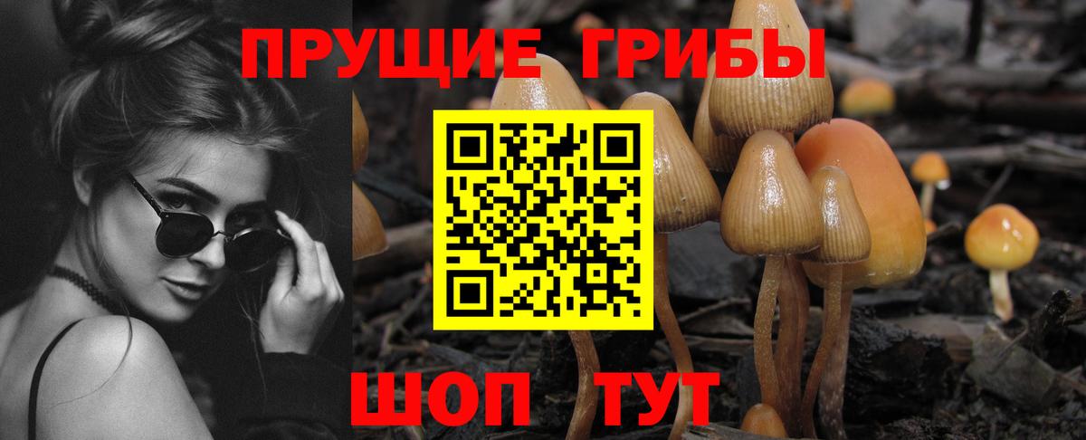 Галлюциногенные грибы мицелий Верхняя Пышма