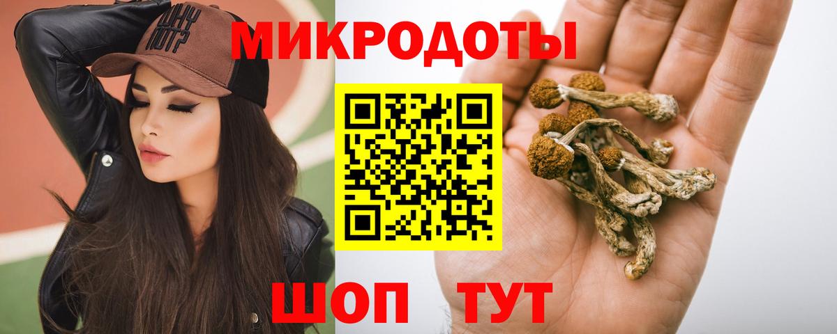 Галлюциногенные грибы Psilocybe  Вход с VPN  магазин продажи наркотиков  Верхняя Пышма 